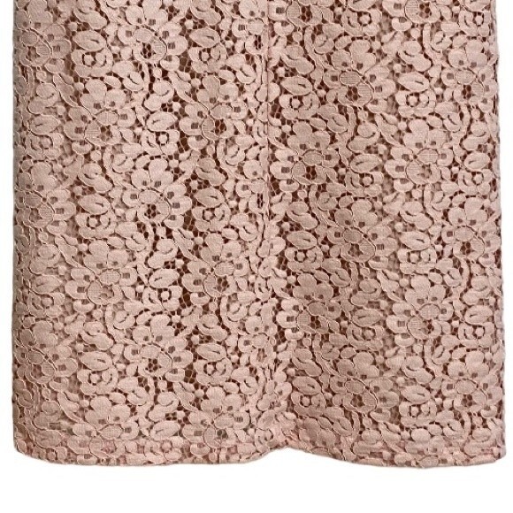 NWOT Zara Lace Overlay Mini Dress Size XS Light Pink Cap Sleeve Fairy - Picture 11 of 15